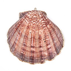 Electroplate Sea Shell Big Pendants&nbsp;SHEL-T012-47