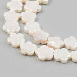 Electroplate Natural Freshwater Shell Beads Strands&nbsp;SHEL-T017-08
