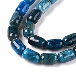 Natural Apatite Beads Strands&nbsp;G-G980-51A
