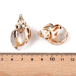Natural Sea Shell Pendants&nbsp;SSHEL-N038-52