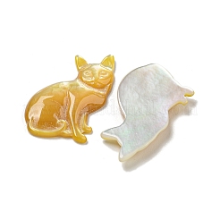 Natural Yellow Shell Cabochons&nbsp;SSHEL-N038-05B