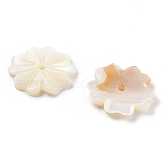 天然淡水シェルビーズ  花  フローラルホワイト  17~17.5x2mm  穴：1.5~1.6mm&nbsp;SHEL-Z002-02