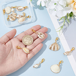 12Pcs 6 Styles Shell Pendants Decorations&nbsp;HJEW-HY00054