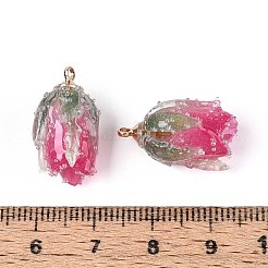 Transparent Acrylic Pendants&nbsp;SACR-T017-53C