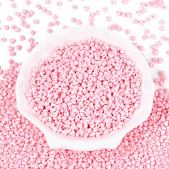 Baking Paint Glass Seed Beads&nbsp;SEED-N007-30E