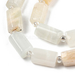 Natural White Moonstone Beads Strands&nbsp;G-N327-06C