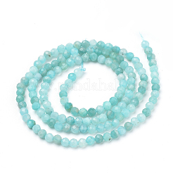 Natural Amazonite Beads Strands&nbsp;X-G-Q961-14-3mm