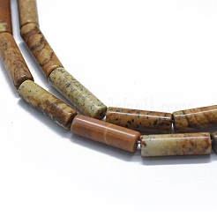 Natural Picture Jasper Beads Strands&nbsp;G-F631-D04-02