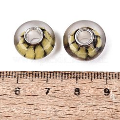Handmade Lampwork & Brass Core European Beads&nbsp;LAMP-N044-01S-04