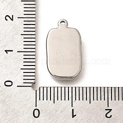 304 Stainless Steel Pendants&nbsp;STAS-D288-02P