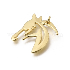 Brass Pendants&nbsp;KK-Z155-04G-01