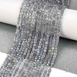 Natural Labradorite Beads Strands&nbsp;G-L597-A01-01