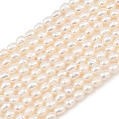 天然養殖淡水パールビーズ連売り  ライス  グレード3a++  トウモロコシの穂の黄色  3.5~4mm  穴：0.5mm  約75~77個/連  13.58~13.78''（34.5~35センチメートル）&nbsp;PEAR-F020-15