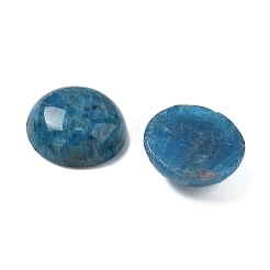 天然アパタイトカボション  半円/ドーム  20x7~8mm&nbsp;G-A265-01D
