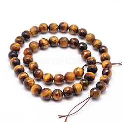 Natural Tiger Eye Beads Strands&nbsp;G-F260-02-14mm