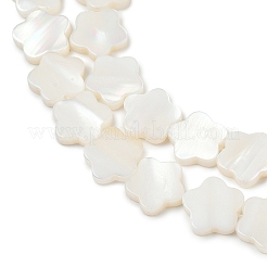 天然淡水シェルビーズ連売り  花  貝殻色  10x10.5x2.5mm  穴：0.8mm  約39~40個/連  14.96''~15.35''（38~39センチメートル）&nbsp;SHEL-K010-01A