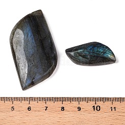 Import Natural Labradorite Cabochons&nbsp;G-T138-206