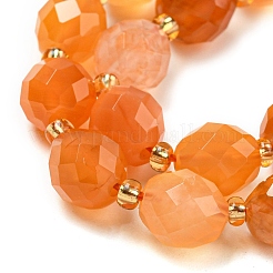 Natural Orange Botswana Agate Beads Strands&nbsp;G-N342-45