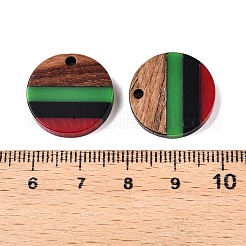 ジャマイカカラーエポキシ樹脂とクルミ材のペンダント  幾何学的なチャーム  フラットラウンド  18.5x3.5mm  穴：2mm&nbsp;RESI-N039-122A