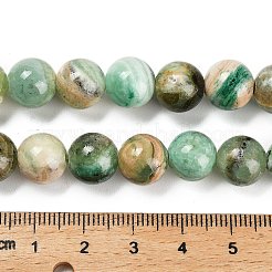 Natural Green Line Jasper  Beads Strands&nbsp;G-B128-A03-04