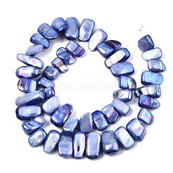 Natural Freshwater Shell Beads Strands&nbsp;X-SHEL-N026-123G