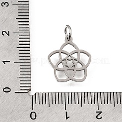 304 Stainless Steel Charms&nbsp;SA-CBA4CE0-09P