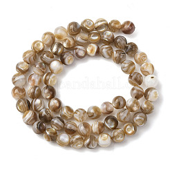 Natural Freshwater Shell Beads Strands&nbsp;X-SHEL-K006-71A