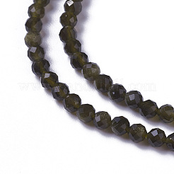 Natural Golden Sheen Obsidian Beads Strands&nbsp;G-F596-17-2mm