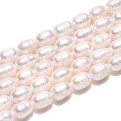 天然養殖淡水パールビーズ連売り  ライス  乳白色  7~10x5~6mm  穴：0.4~0.5mm  約41~43個/連  12.99~13.39''（33~34センチメートル）&nbsp;PEAR-T006-19B