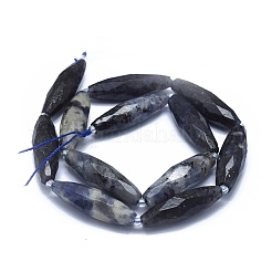 Natural Iolite Beads Strands&nbsp;G-O179-G22