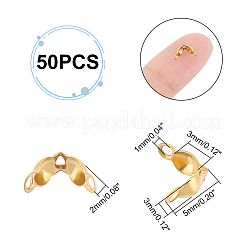 304ステンレススチールボールチープ  カロット終了  クラムシェルノットカバー  ゴールドカラー  5x3x2mm  穴：1mm  内径：3mm  50個/箱&nbsp;STAS-UN0002-38C