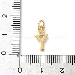 Brass Pave Clear Cubic Zirconia Charms&nbsp;KK-A273-01G-Y