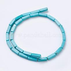 天然マグネサイトビーズ連売り  染め  直方体の  空色  13~13.5x4x4mm  穴：1mm  約29個/連  15.35インチ（39cm）&nbsp;TURQ-K003-13
