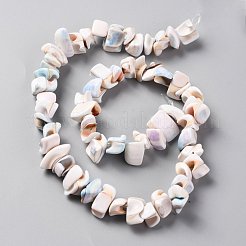 天然淡水シェルビーズ連売り  ナゲットチップス  貝殻色  9~17.5x6~9.5x4.5~7mm  穴：1mm  約70個/連  15.75インチ（40cm）&nbsp;SHEL-C001-04