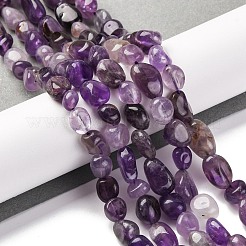 天然石アメジストビーズ連売り  ナゲット  タンブルストーン  7~12x6~8x5~7mm  穴：1mm  約43~44個/連  15.47~15.63''（39.3~39.7センチメートル）&nbsp;G-G146-A09-01