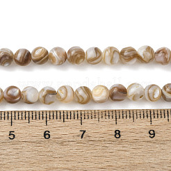 Natural Freshwater Shell Beads Strands&nbsp;SHEL-K006-71B