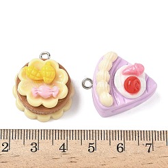 Opaque Resin Dessert Craft Pendant&nbsp;RESI-D014-02P