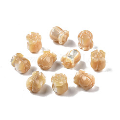 天然トロチッドシェル/トロカスシェルビーズ  花  9.5~10x8x8mm  穴：1mm&nbsp;SSHEL-N003-145B-A02