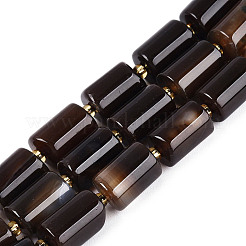 Natural Agate Beads Strands&nbsp;G-N362-20A-01