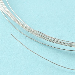 デッドソフト925スターリングシルバーワイヤー  ラウンド  銀  (28ゲージ)0.30mm&nbsp;STER-NH004-A