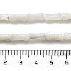 天然トロチッドシェル/トロカスシェルビーズ連売り  竹の共同  ホワイトスモーク  12x4.8mm  穴：0.6mm  約33個/連  15.35''（39センチメートル）&nbsp;BSHE-G038-03