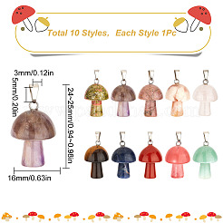 10Pcs 10 Style Natural & Synthetic Gemstone Pendants&nbsp;G-SC0001-79