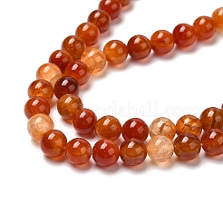 Natural Crackle Agate Bead Strands&nbsp;G-K166-10-10mm-01