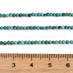 Natural HuBei Turquoise Beads Strands&nbsp;GG-CBA767B-A02