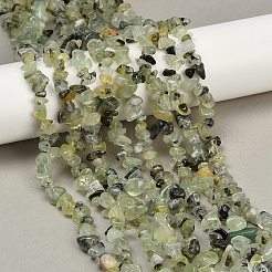 Prehnite Chip Bead Strands&nbsp;G-M205-11