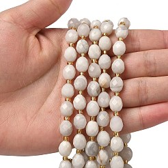 Natural White Crazy Agate Beads Strands&nbsp;G-F809-A54-01