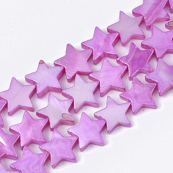 Freshwater Shell Beads Strands&nbsp;SHEL-S276-51