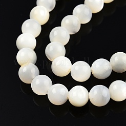 Natural White Shell Bead Strands&nbsp;SSHEL-N003-144E-01