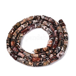 Natural Leopard Skin Jasper Beads Strands&nbsp;GG-N002-01A-12