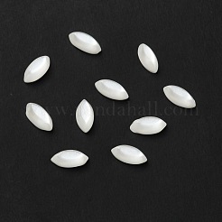 Resin Cabochons&nbsp;CRES-D003-06